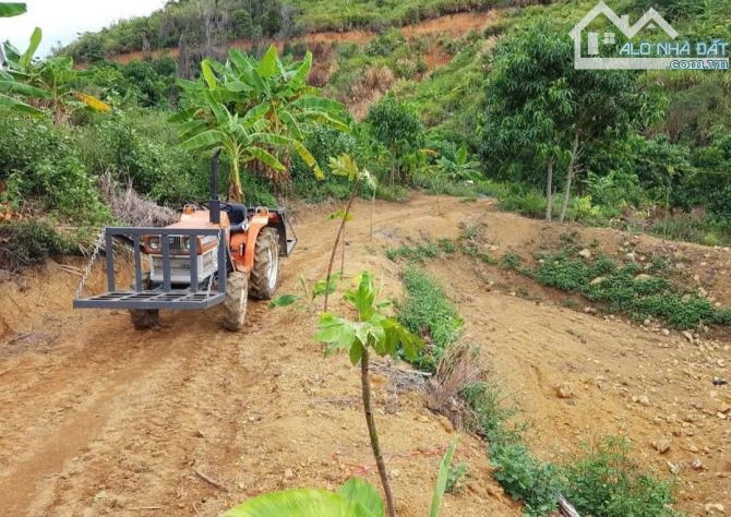 🌿 BÁN LÔ ĐẤT RỘNG 40HA TẠI LƯƠNG SƠN – NHA TRANG - 7