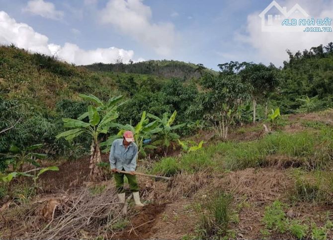 🌿 BÁN LÔ ĐẤT RỘNG 40HA TẠI LƯƠNG SƠN – NHA TRANG - 8