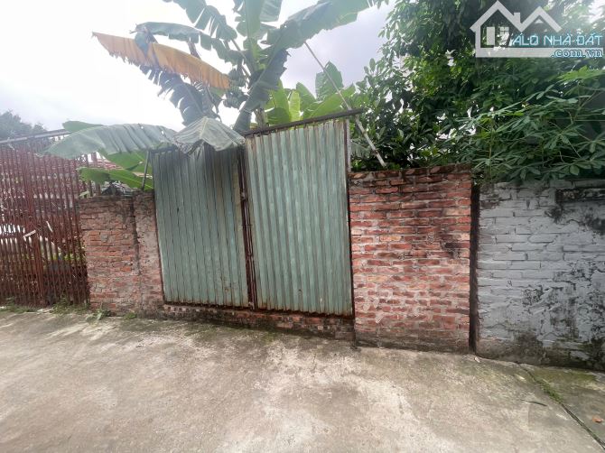 📍 ĐẤT ĐẸP 62.3M² TÂN LẬP – ĐAN PHƯỢNG – GẦN VIN VÀ TRỤC TÂY THĂNG LONG – GIÁ CHỈ 8XTR/M²