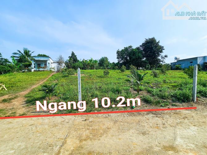 Bán đất Diên Xuân view ruộng mát mẻ có thổ cư - tặng vườn cây trái