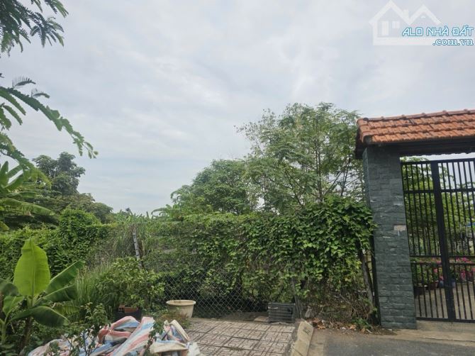 Bán đất full thổ cư đường vườn lài phường An Phú Đông Quận 12