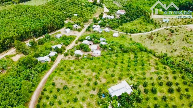 BAN LỖ LÔ BIỆT THỰ VƯỜN BƯỞI TRIỀN ĐỒI SIÊU ĐẸP CHỈ 475 triệu