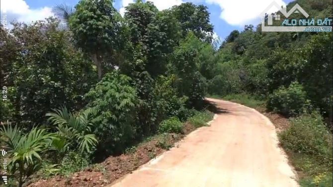 Bán vườn trái cây 3 hecta, QL 20,  Định Quán, 6 tỷ