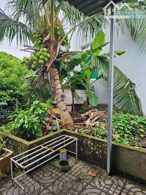 Bán nhà 51 m2 thổ cư gần trường Nguyễn Việt Hồng - 11