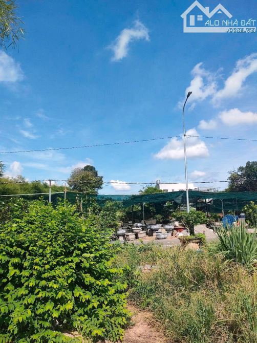 LONG PHƯỚC ĐƯỜNG NHỰA TIM VÀNG  Dt 209 m thổ cư 134 m 5x42 m 2 km chợ trường học đầy đủ ti - 1