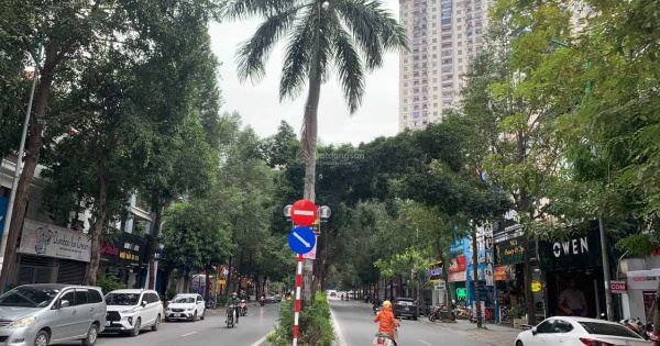 Bán nhanh BT LK Lô Góc Xa La Kinh doanh bậc nhất 125/250mx4 tầng. - 1