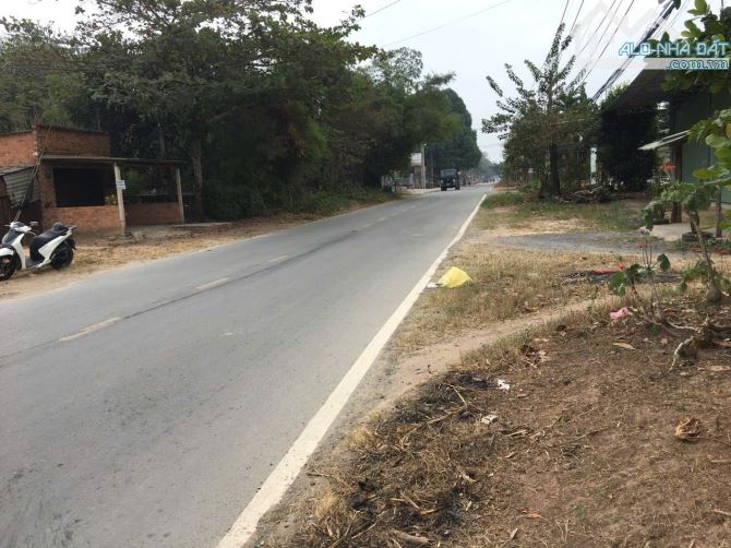 Chính Chủ Bán đất 4000m2 Phú Hòa Đông, Huyện Củ Chi - 1