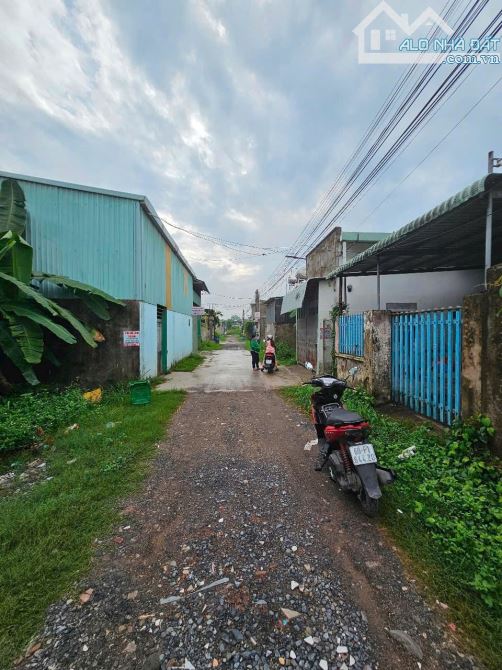Bán đất sổ riêng thổ cư An Phước Long Thành - 1