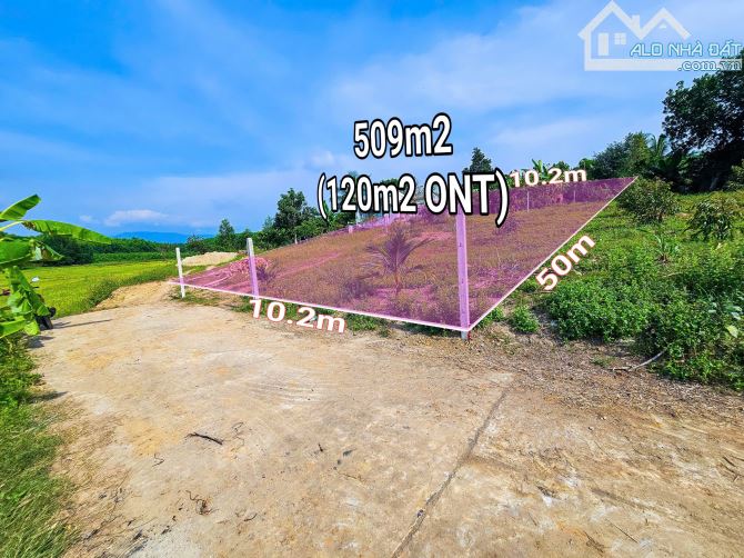 Bán đất Diên Xuân view ruộng mát mẻ có thổ cư - tặng vườn cây trái - 1