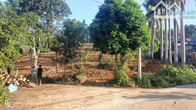 Hơn 1.5tr/m2 đất Hợp Nhất, Ba Vì, gần k9, Ba Trại, 7305m, 400m tc, view đồng, oto tránh. - 1