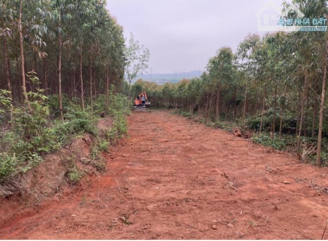 1ty380tr lô 2345m - 400 tc! Cách Côn Sơn Kiếp Bạc 3,5 km. Nghỉ dưỡng gần vành đai 5. - 1
