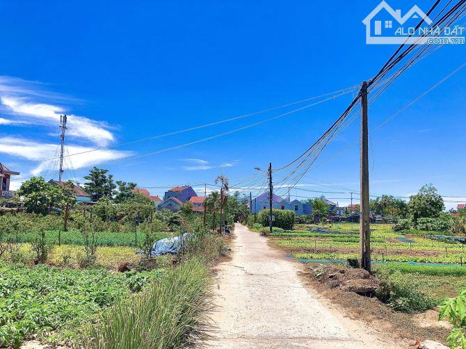 Nếu có dự định xây Home Đừng vội bỏ qua mảnh đất vị trí đắc địa ngay tại Làng Rau Trà Quế - 1
