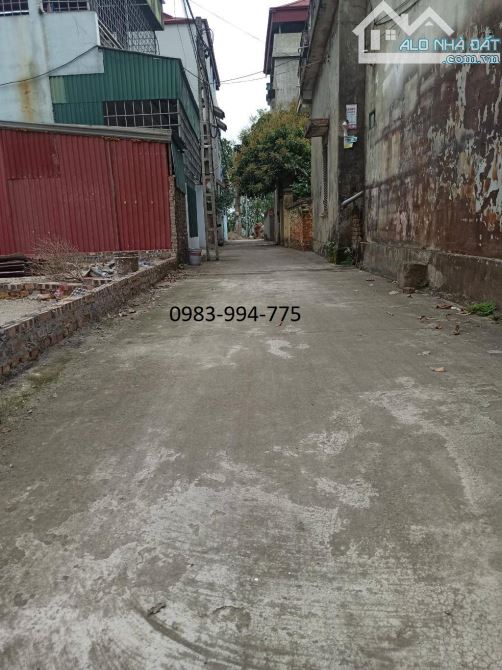 BÁN ĐẤT TRUNG TÂM PHỐ DÂU – GẦN CHỢ ĐẦU MỐI. 55M2 * 1,9 TỶ. - 1