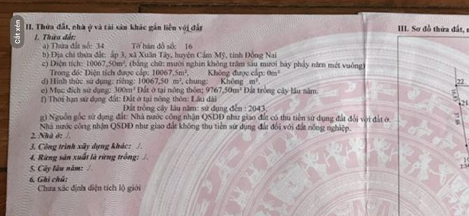 Cần bán gấp lô đất đẹp tại ấp 3, xã Xuân Tây, huyện Cẩm Mỹ, Đồng Nai – Giá cực kỳ hấp dẫn! - 2
