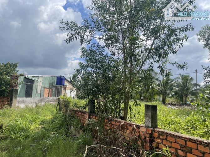 BÁN 966M2- GIÁ CHỈ 5 TỶ - GẦN KHU CÔNG NGHIỆP LÊ MINH XUÂN - BÌNH CHÁNH - 2