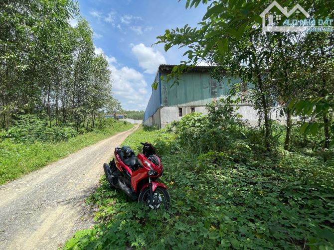 D223 Bán lô đất 1.3mẫu ( 13.000m2 ) Xã Thiện Tân Vĩnh Cửu   Vị Trí Gần Đường Hoàng Văn Bổn - 2