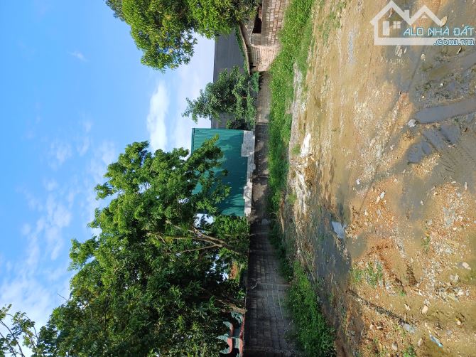 BÁN: 150 M FUUL TÂN HỘI TÂN TIẾN CHƯƠNG MỸ HÀ NÔI  -  đất đẹp- chia 2 lô - dân cứ đông Đúc - 2