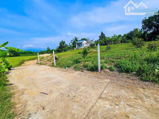 Bán đất Diên Xuân view ruộng mát mẻ có thổ cư - tặng vườn cây trái - 2