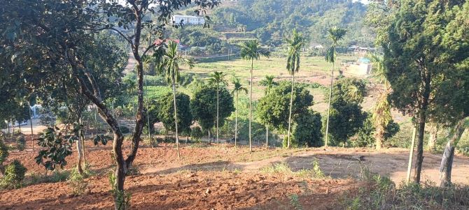 Hơn 1.5tr/m2 đất Hợp Nhất, Ba Vì, gần k9, Ba Trại, 7305m, 400m tc, view đồng, oto tránh. - 2