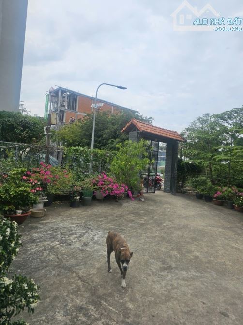 Bán đất full thổ cư đường vườn lài phường An Phú Đông Quận 12 - 2