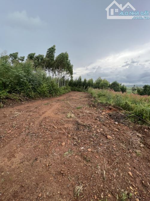 1ty380tr lô 2345m - 400 tc! Cách Côn Sơn Kiếp Bạc 3,5 km. Nghỉ dưỡng gần vành đai 5. - 2