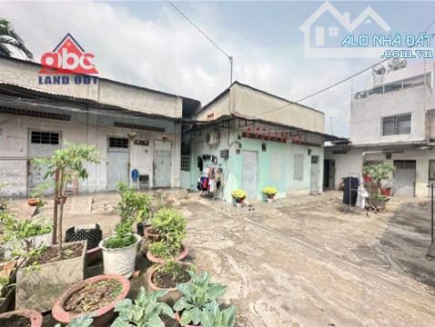 Bán nhà cấp 4 và dãy trọ phường tân hoà - biên hoà - đồng nai - 2