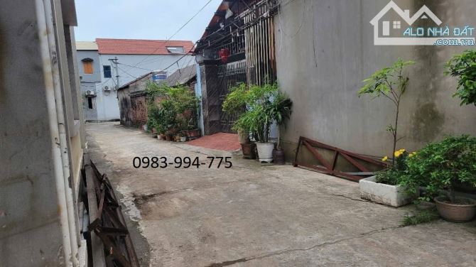 BÁN ĐẤT TRUNG TÂM PHỐ DÂU – GẦN CHỢ ĐẦU MỐI. 55M2 * 1,9 TỶ. - 2