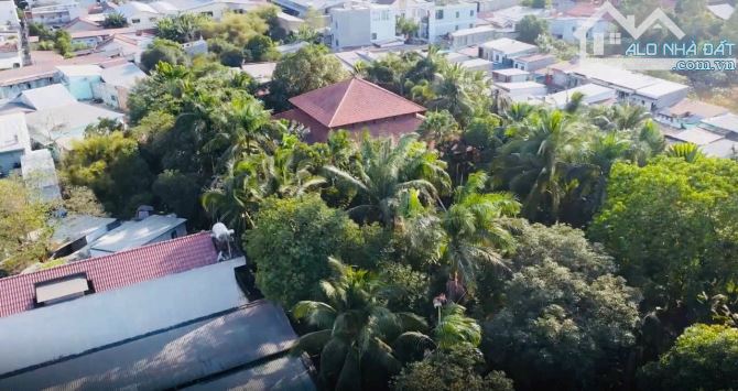 Đất rộng gần ngã ba Cây Điệp, phường Tân Đông Hiệp, TP Dĩ An. 80 tỷ - 3