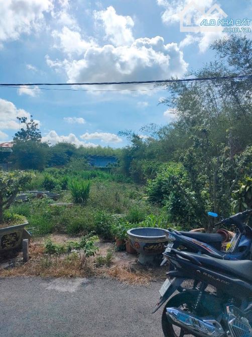 LONG PHƯỚC ĐƯỜNG NHỰA TIM VÀNG  Dt 209 m thổ cư 134 m 5x42 m 2 km chợ trường học đầy đủ ti - 3