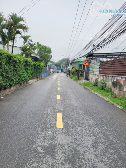 đất 1125,8m2 13ty5 TL MT đường Trần Thị Xanh chỉ 12 triệu/m2 p.Tân Đông Hiệp Tp.Dĩ An - 3