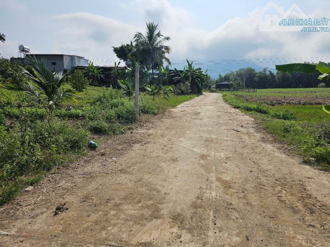 Bán đất Diên Xuân view ruộng mát mẻ có thổ cư - tặng vườn cây trái - 3