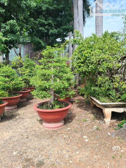NGỘP BANK Nhà Kho Mặt tiền đường VÕ THỊ HỒI, x XTĐ, H. Hóc Môn, dt 3.972,7m2💰 61,5Tỷ - 3
