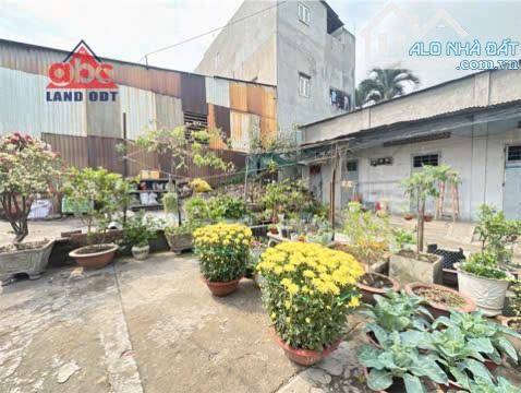 Bán nhà cấp 4 và dãy trọ phường tân hoà - biên hoà - đồng nai - 3