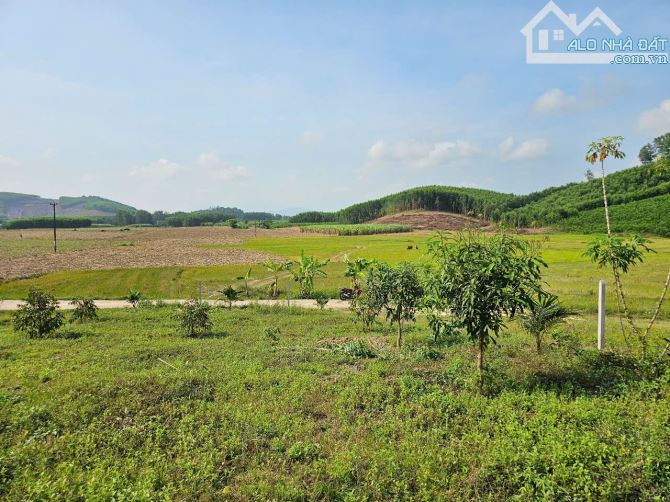 Bán đất Diên Xuân view ruộng mát mẻ có thổ cư - tặng vườn cây trái - 4