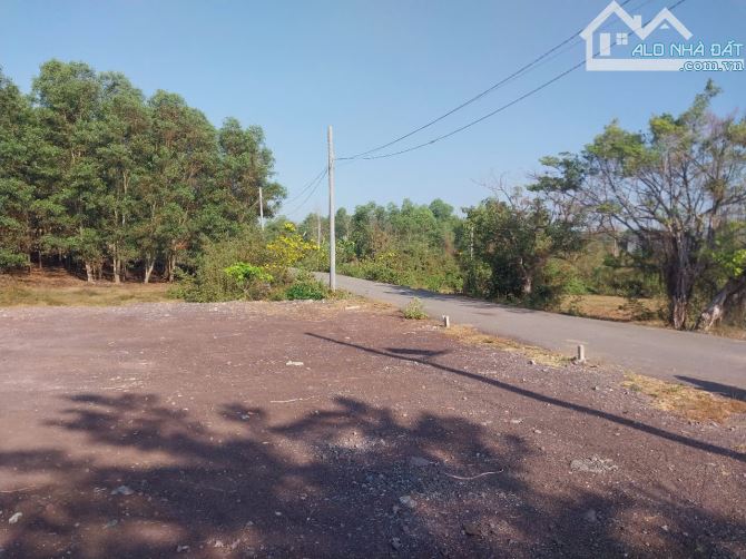 🏡 BÁN LÔ ĐẤT ĐẸP AN HÒA – BIÊN HÒA – GẦN CỔNG 11, CHỢ CỔNG 11 – CHỈ 1 TỶ 650!! - 5