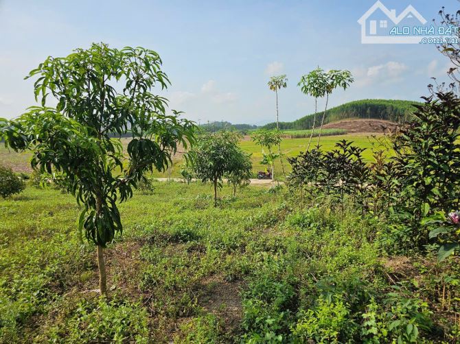 Bán đất Diên Xuân view ruộng mát mẻ có thổ cư - tặng vườn cây trái - 5
