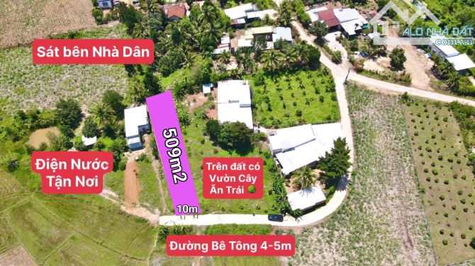 Bán đất Diên Xuân view ruộng mát mẻ có thổ cư - tặng vườn cây trái - 6