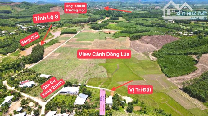 Bán đất Diên Xuân view ruộng mát mẻ có thổ cư - tặng vườn cây trái - 7