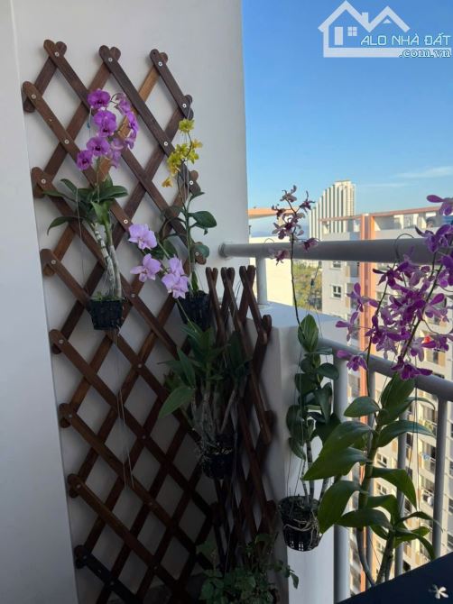 Căn Hộ Sổ Hồng Tại Hoàng Quân,Phường Vĩnh Hoà. cách biển Nha Trang Giá Chỉ 1,8 Tỷ - 8