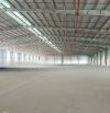 💥 CHO THUÊ XƯỞNG 40.000m2 KHU CÔNG NGHIỆP BÌNH ĐỊNH