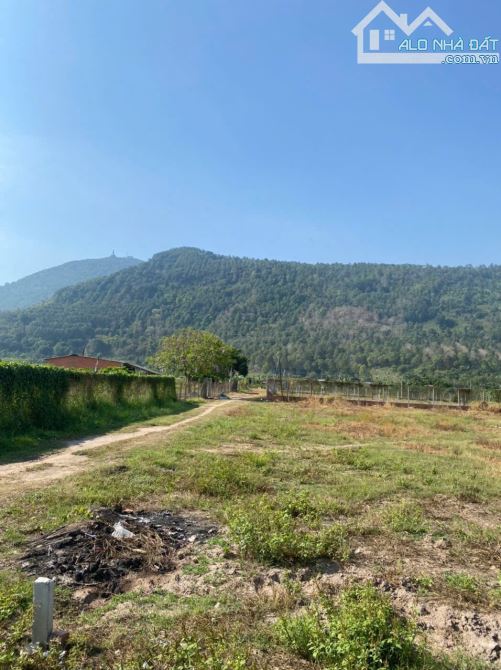 Cần bán 16.000m2 đất mặt tiền DT784, Ninh Sơn Tp Tây Ninh