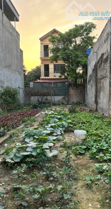 Bán 89m full thổ TTQuang Minh đường thông ô tô ngủ trong đất