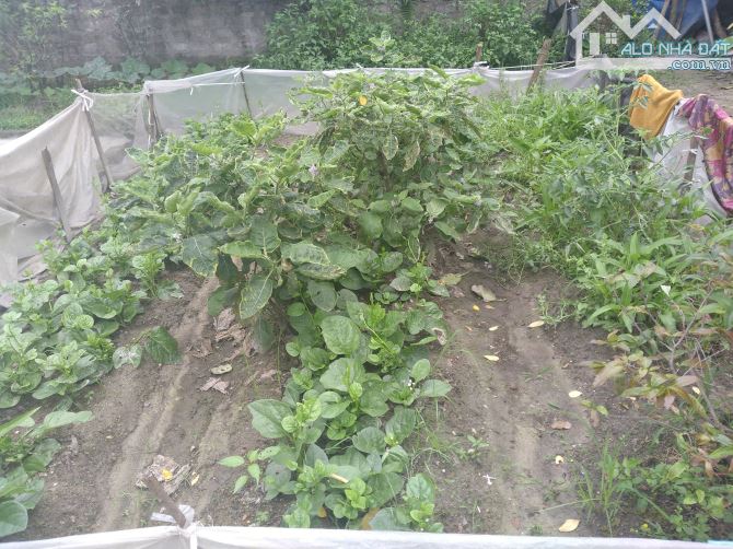 Bán đất lê thanh nghị 135M 2 mặt ngõ hai bà trưng