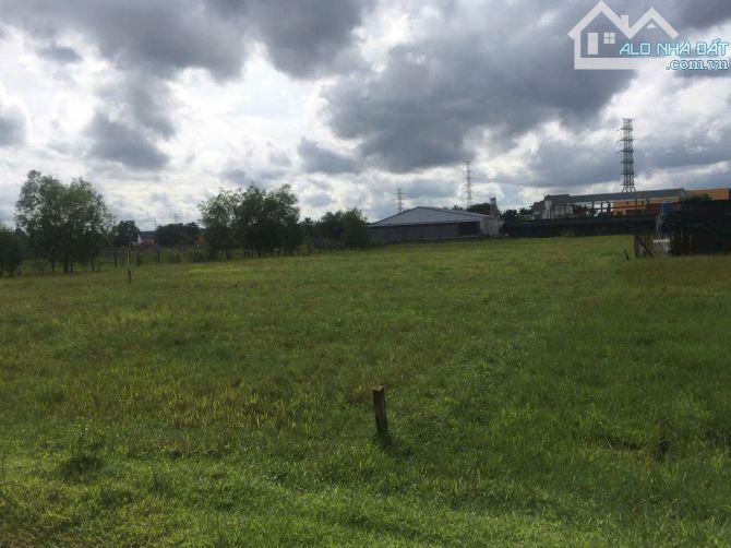4736m2 đất mặt tiền Nguyễn Thị Nhia, xã Phước Hiệp giá 22 tỷ