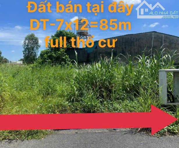 CẦN BÁN GẤP LÔ ĐẤT Ở TÂN THÔNG HỘI CỦ CHI , GIÁ 450 TRIỆU , DT 85M2
