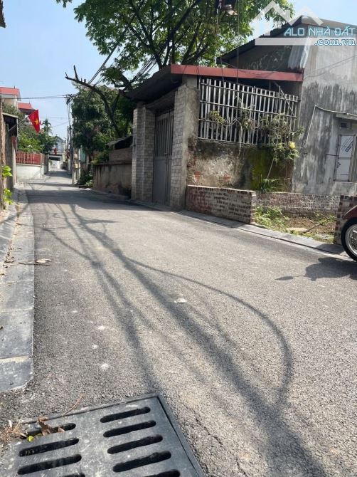 Hàng hiếm rẻ đẹp 👉 khai thái - phú xuyên