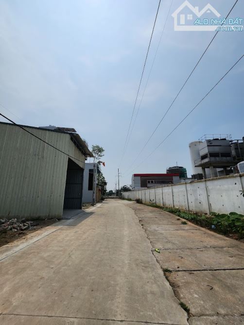 Thanh Trì bán đất tặng nhà 120m2 Đường 3 ô tô tránh Kinh doanh 14.x tỷ