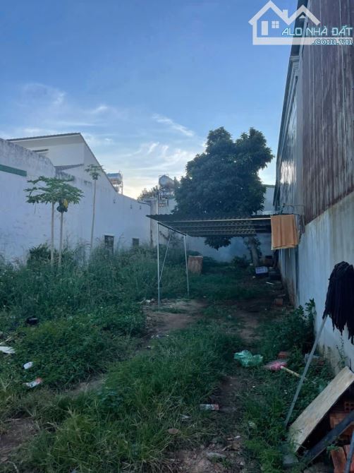 Đất mặt tiền kinh doanh Nguyễn Hữu Thấu phường Tân Lợi