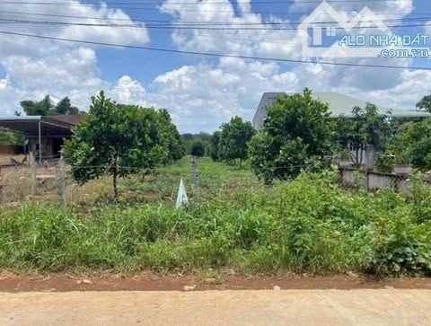 214m2 có 100m2 đất ở tại Dầu Tiếng Bình Dương giá 295 triệu - 1