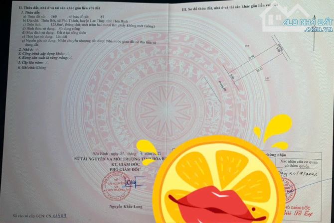 Bán đất 125m phú thành lạc thủy hoà bình làn 2 quốc lô 21 giá chỉ 600tr